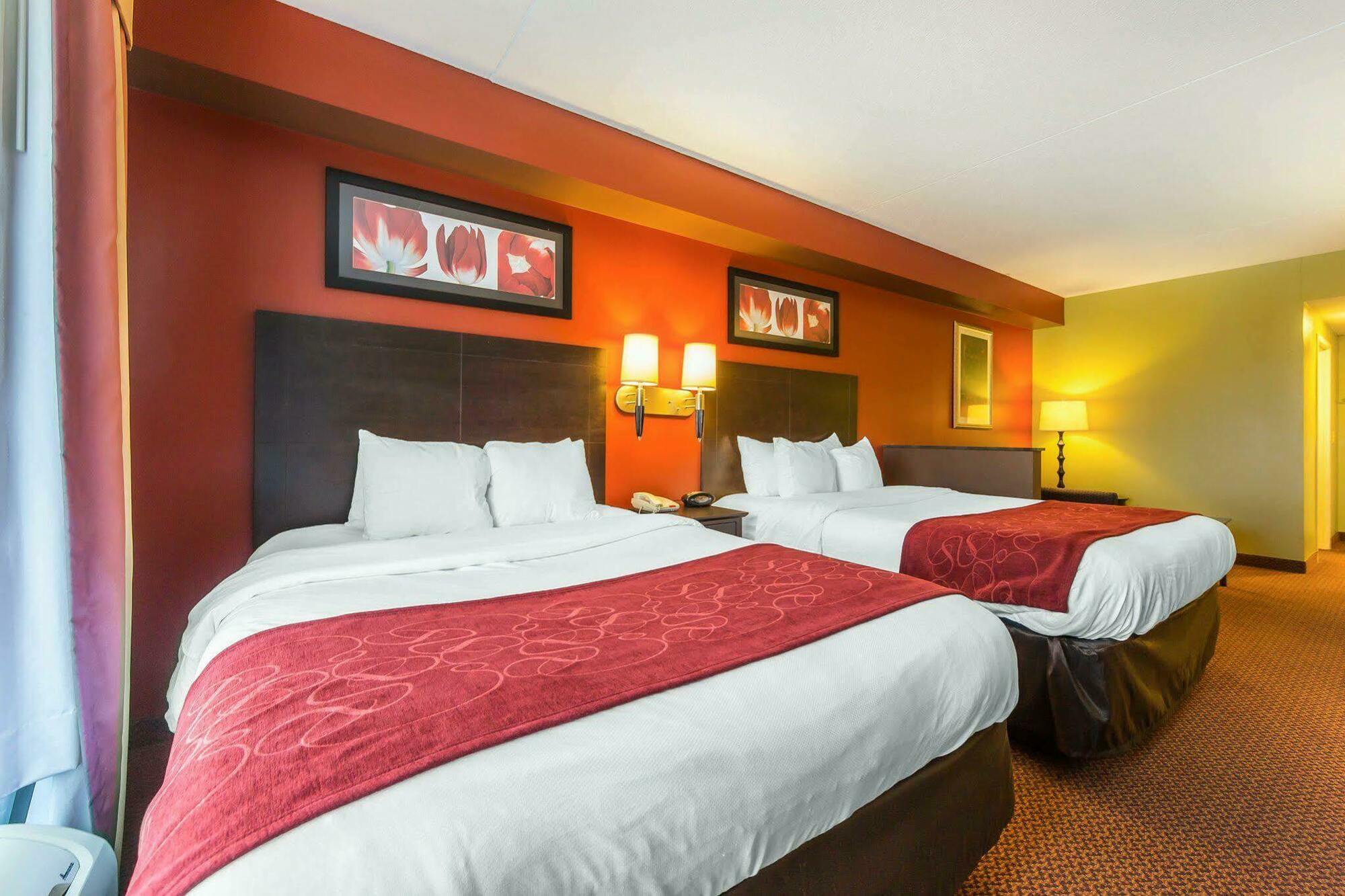Comfort Suites East Knoxville Exterior photo